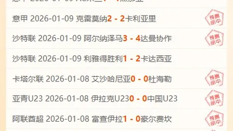 卡馬文加企业概览